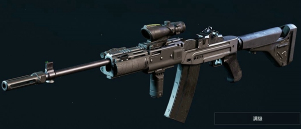 Mini14射手步枪