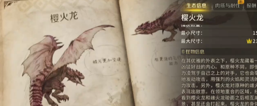 怪猎旅人火系神装 樱火龙速刷入手攻略