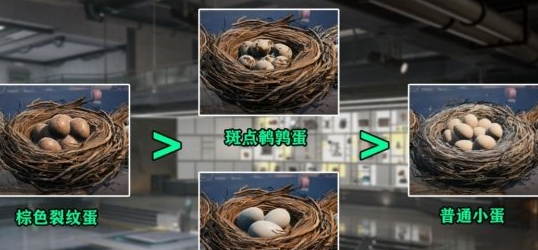 三角洲行动 鸟蛋选择攻略