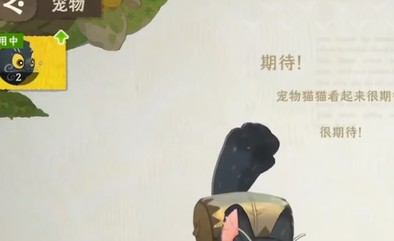 雾海之下 宠物系统全解析，超绝帮手养成指南