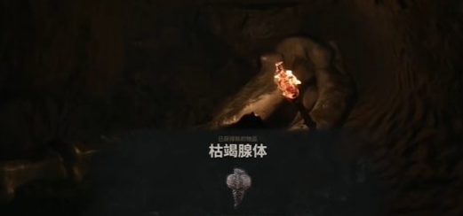 致命躯壳2腺体全收集攻略 高塔献祭流程详解